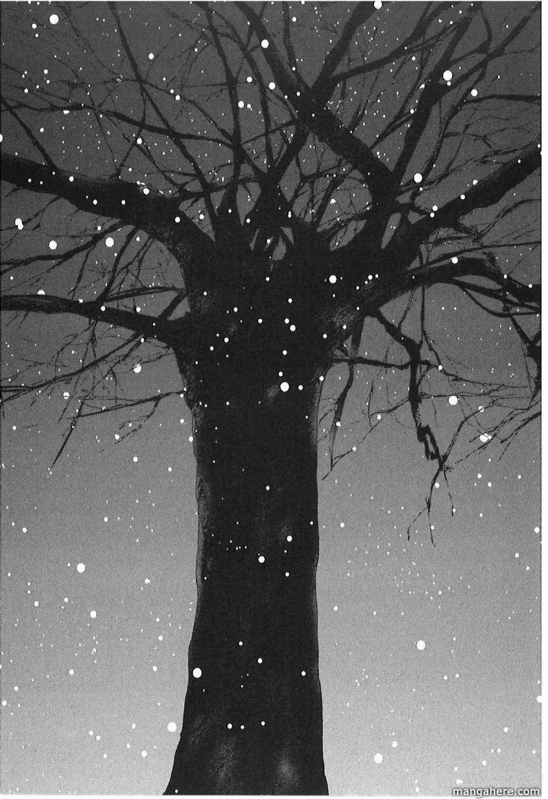 Read 5 Centimeters Per Second EN Manga Online