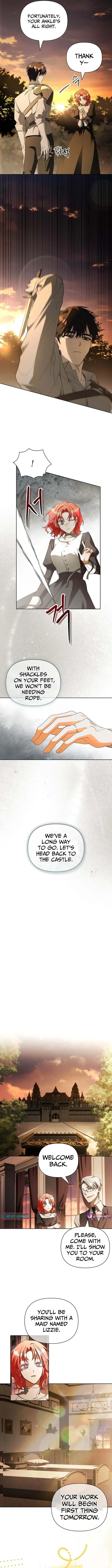Read About Perfect Revenge Manga Online