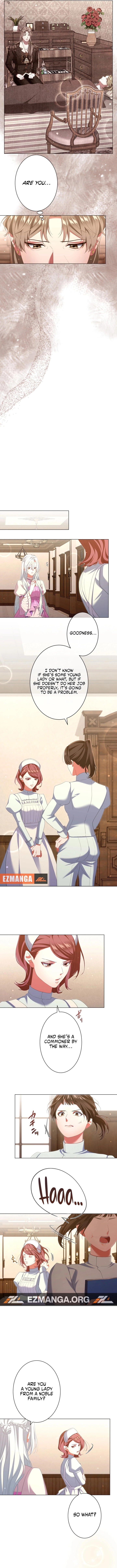 Read Behold The Perfect Villainess EN Manga Online