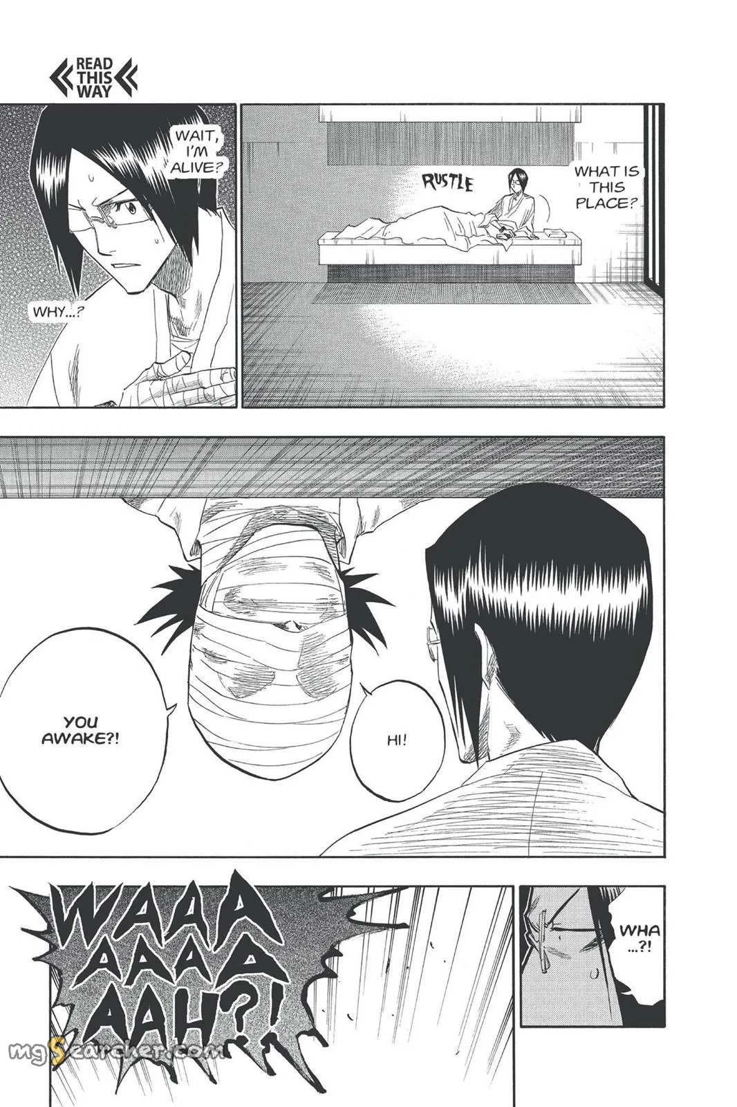 Read Bleach EN Manga Online