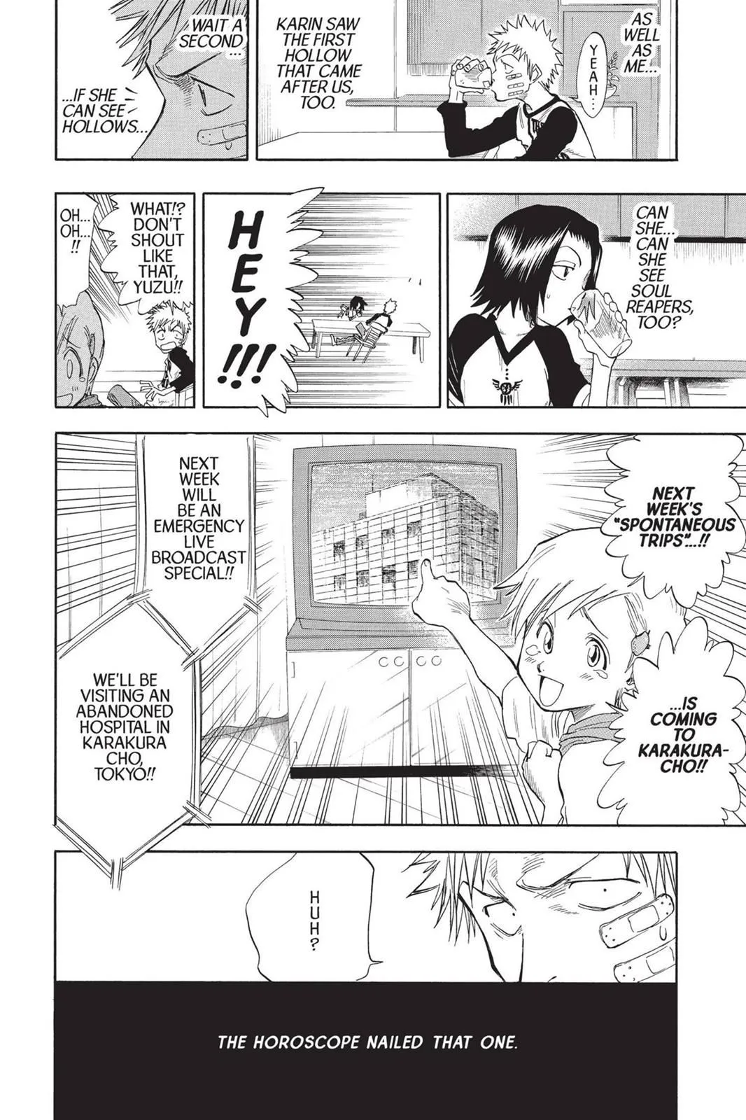 Read Bleach EN Manga Online