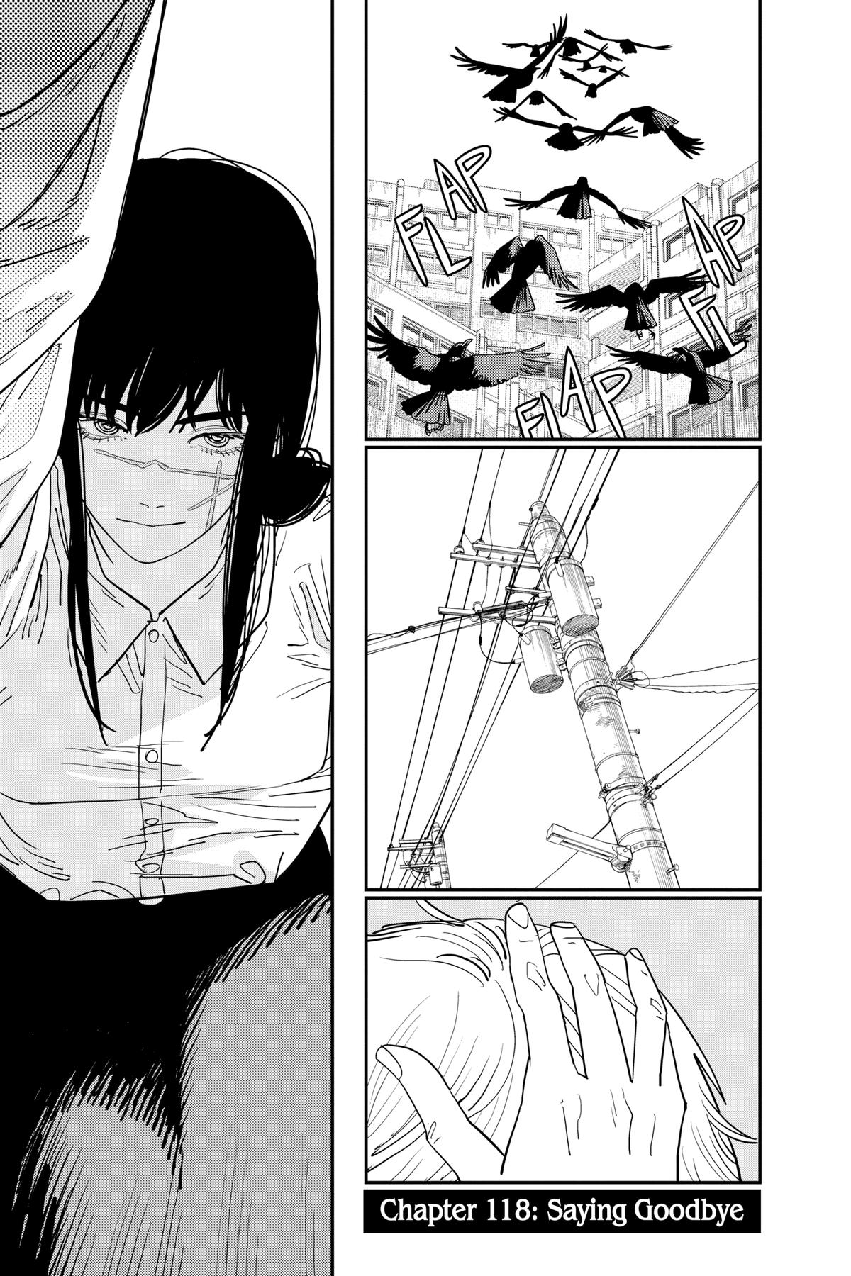 Read Chainsaw Man EN Manga Online