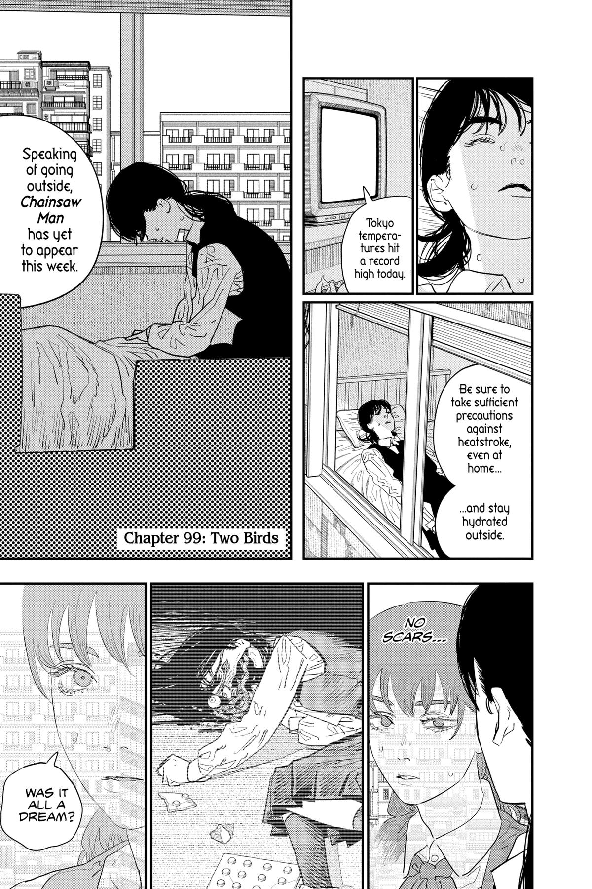 Read Chainsaw Man EN Manga Online