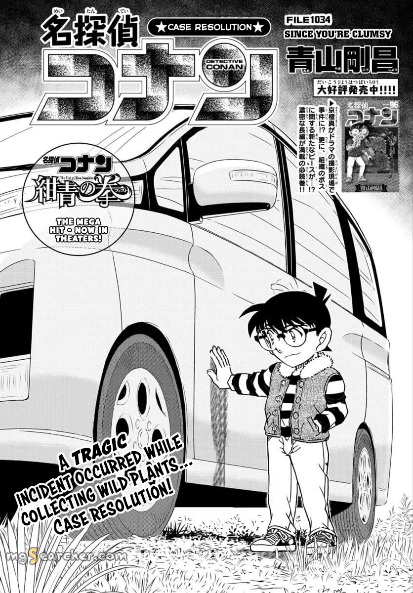 Read Detective Conan EN Manga Online