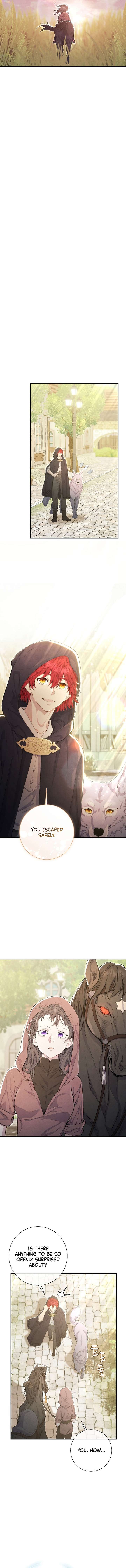 Read Don’t Look for the Resurrected Villainess Manga Online