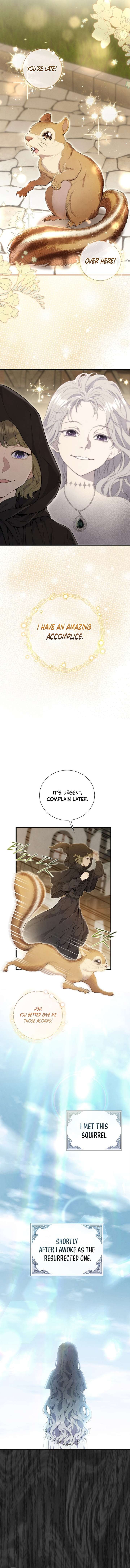 Read Don’t Look for the Resurrected Villainess Manga Online