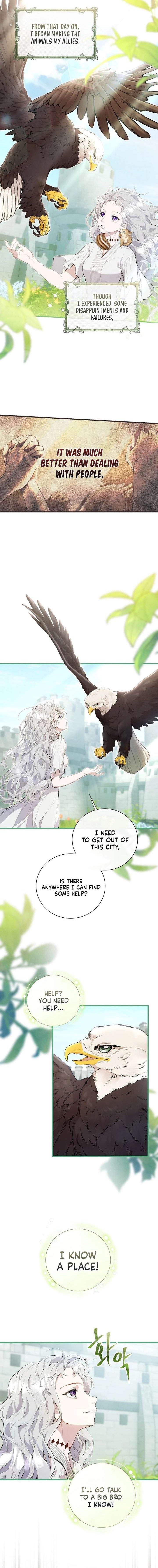 Read Don’t Look for the Resurrected Villainess Manga Online