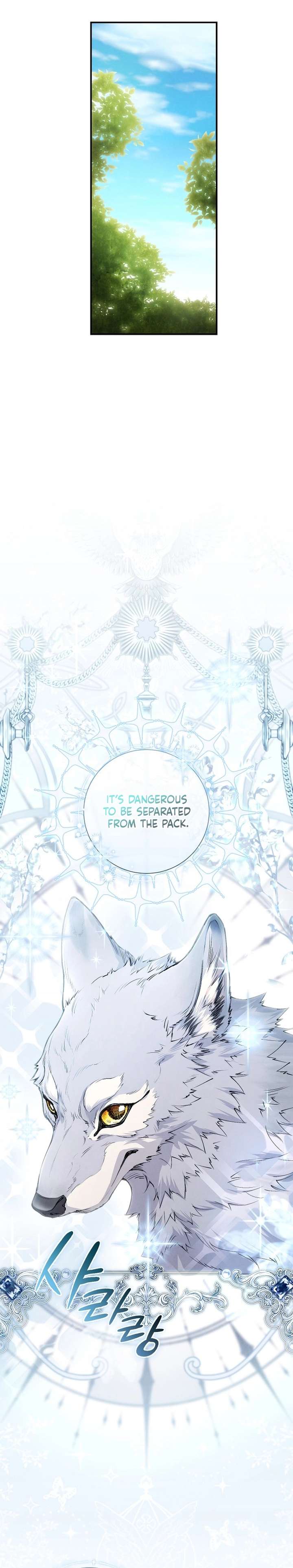 Read Don’t Look for the Resurrected Villainess Manga Online