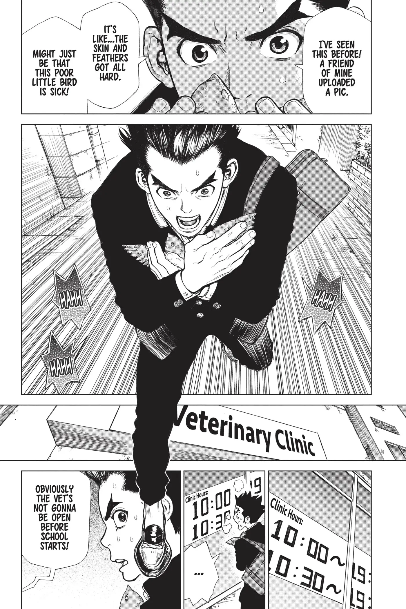 Read Dr. STONE EN Manga Online