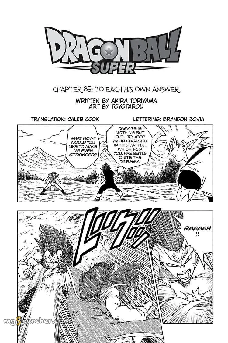 Read Dragon Ball Super EN Manga Online