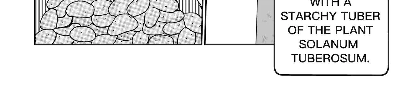 Read Dragon Tofu Manga Online