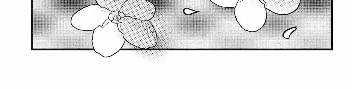 Read Dragon Tofu Manga Online