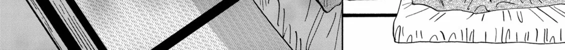 Read Firefly Wedding Manga Online