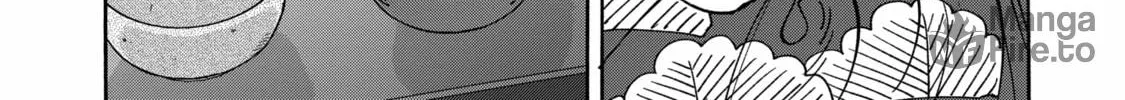 Read Firefly Wedding Manga Online
