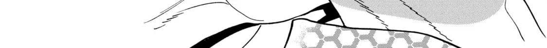 Read Firefly Wedding Manga Online