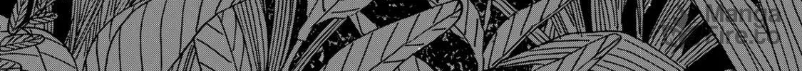 Read Firefly Wedding Manga Online