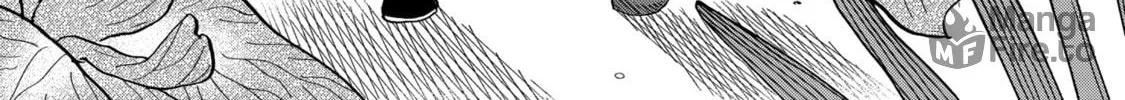 Read Firefly Wedding Manga Online