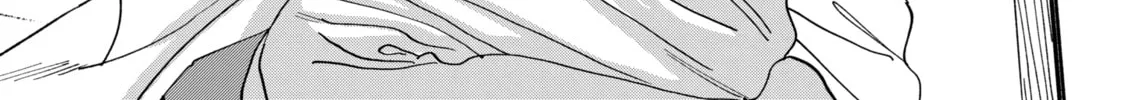 Read Firefly Wedding Manga Online