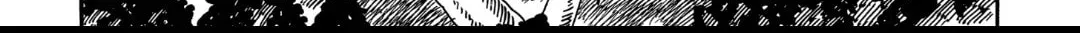 Read Firefly Wedding Manga Online