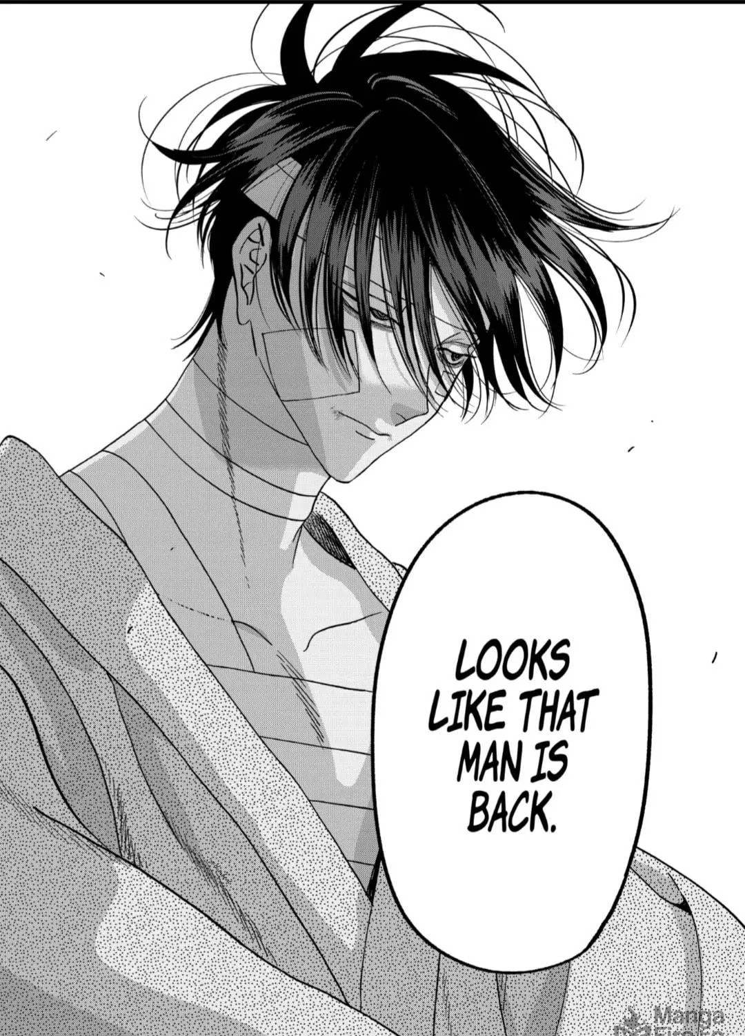 Read Firefly Wedding Manga Online