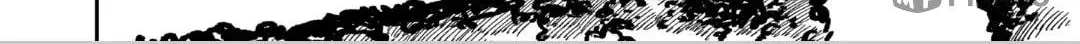 Read Firefly Wedding Manga Online