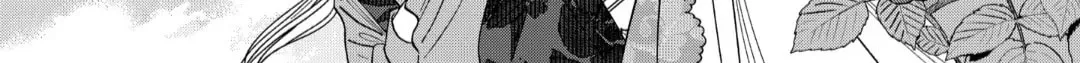 Read Firefly Wedding Manga Online