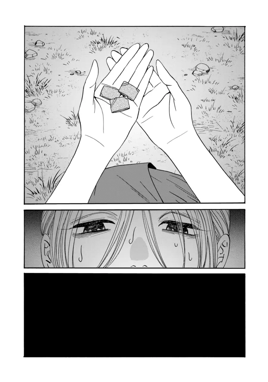 Read Firefly Wedding Manga Online
