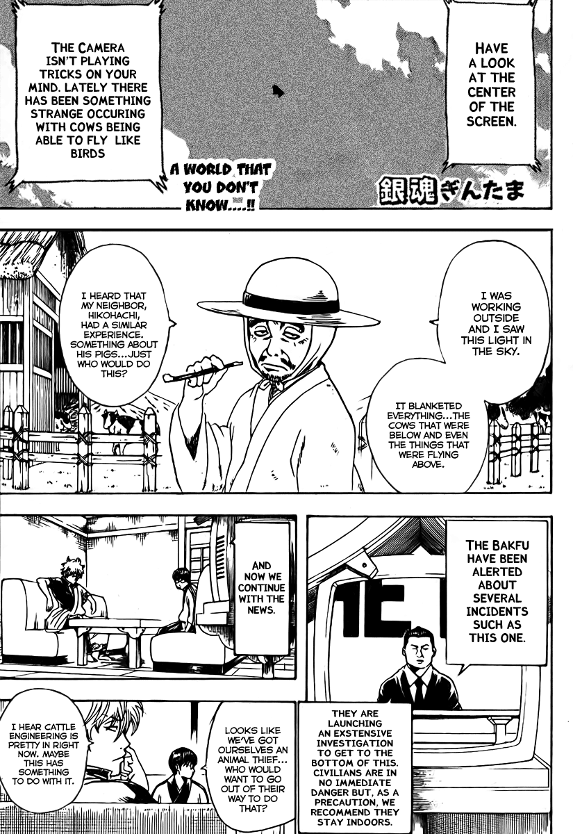 Read Gintama EN Manga Online