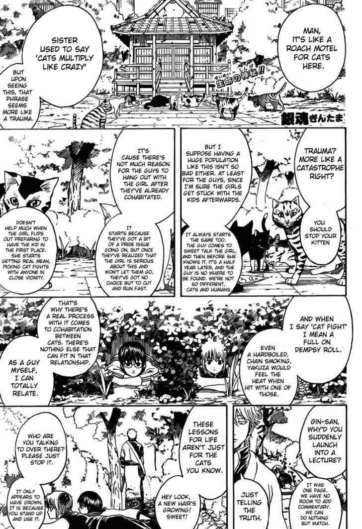 Read Gintama EN Manga Online
