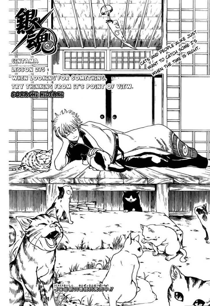 Read Gintama EN Manga Online
