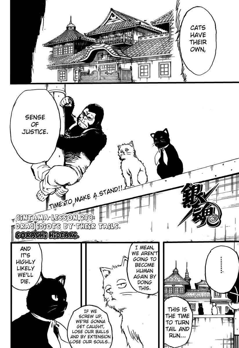 Read Gintama EN Manga Online
