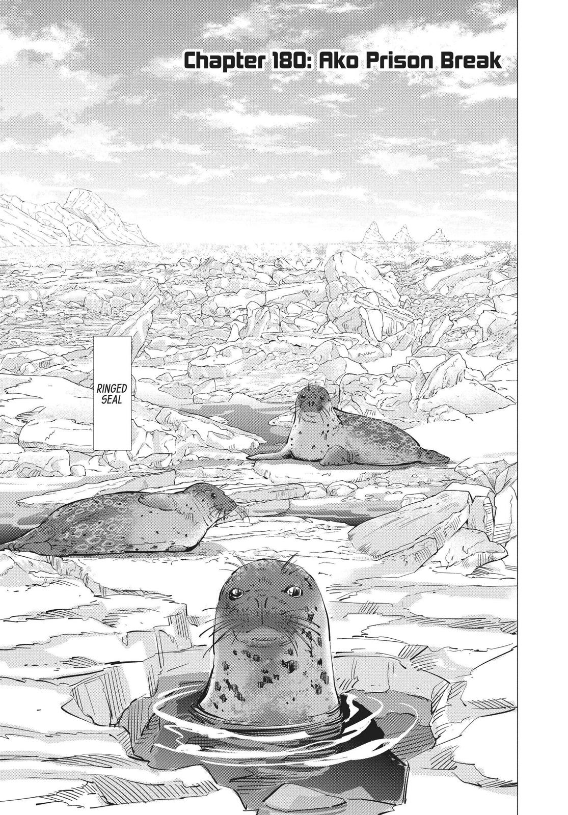 Read Golden Kamuy EN Manga Online