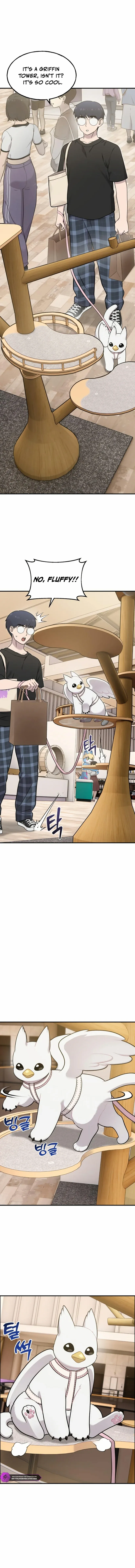 Read Hello, Griffin the Fluffy Bird! EN Manga Online
