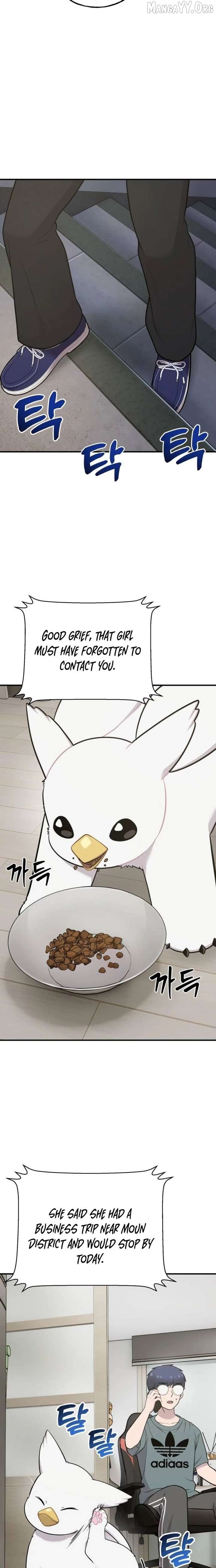 Read Hello, Griffin the Fluffy Bird! EN Manga Online
