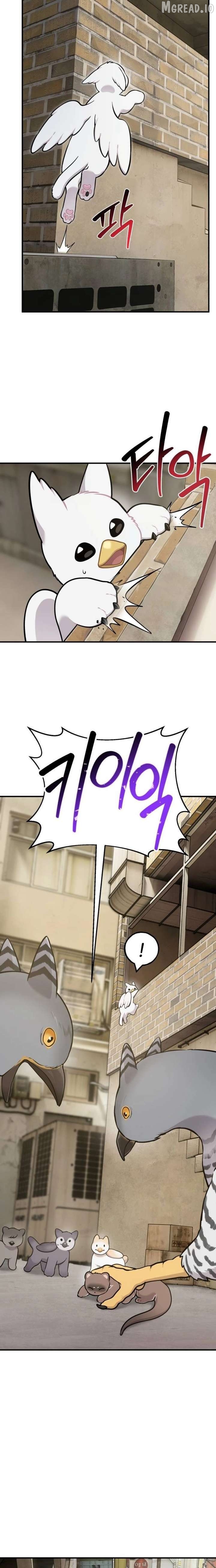 Read Hello, Griffin the Fluffy Bird! EN Manga Online
