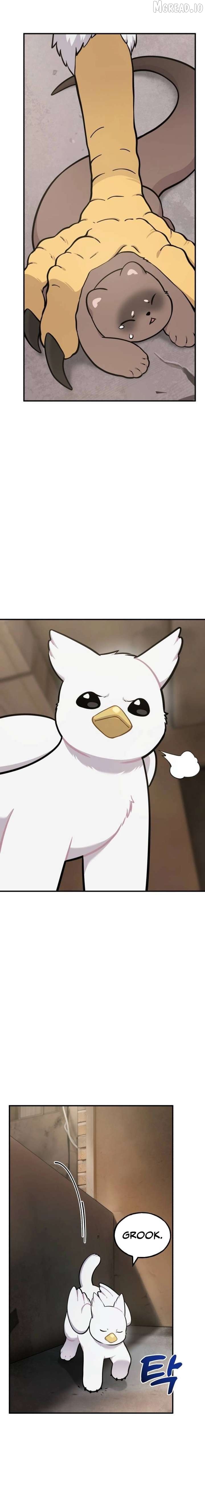 Read Hello, Griffin the Fluffy Bird! EN Manga Online