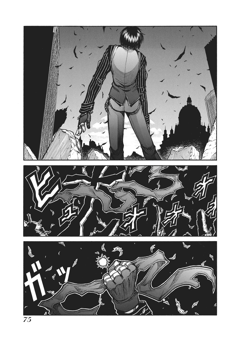 Read Hellsing EN Manga Online