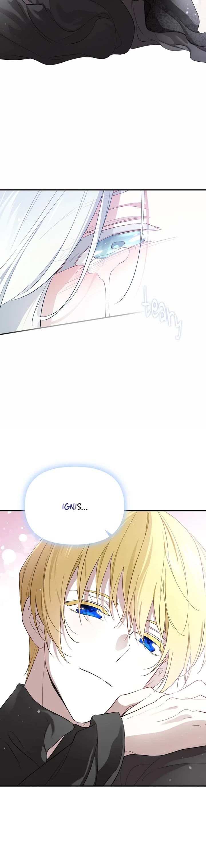 Read I Became the Hero's Mom EN Manga Online