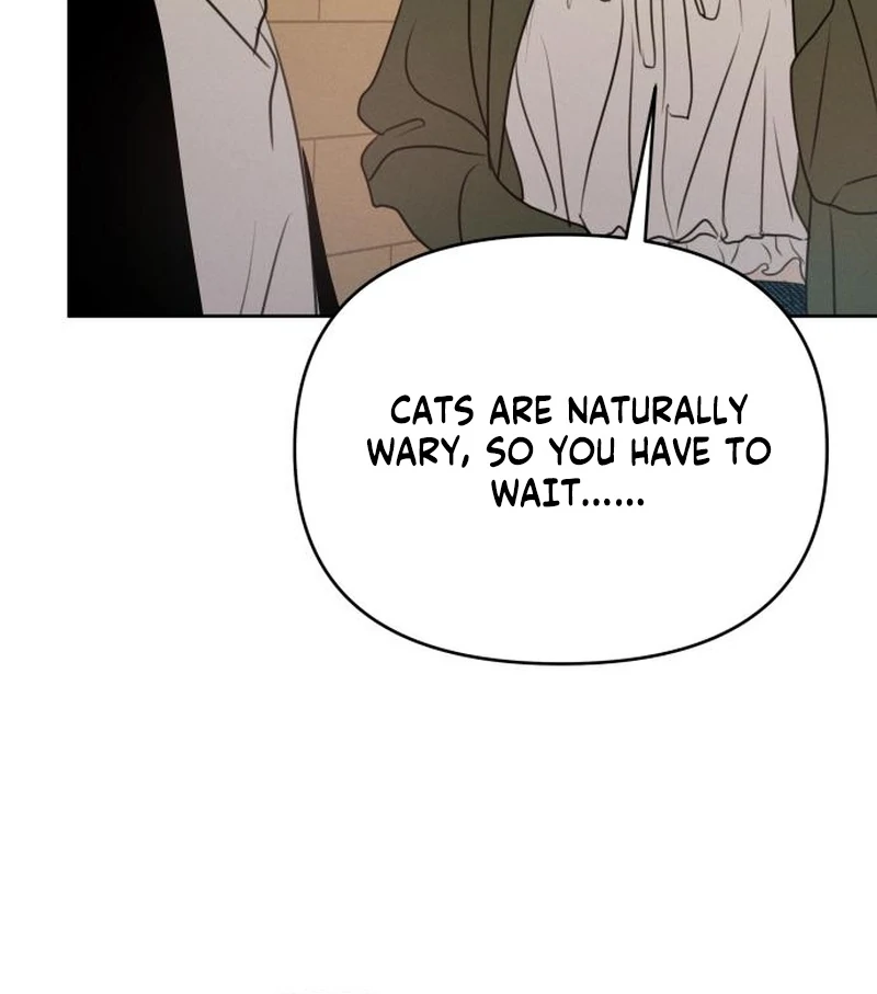 Read I Want To Be Fooled EN Manga Online