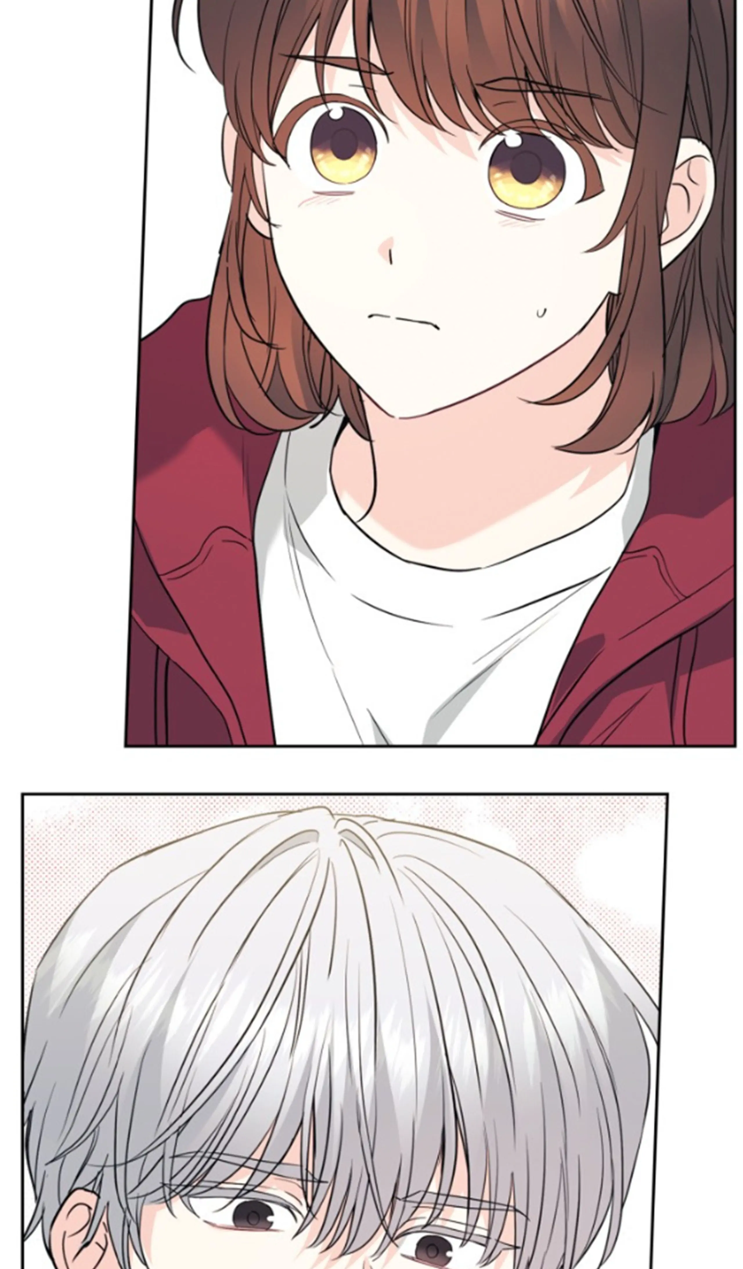 Read Inso’s Law Manga Online