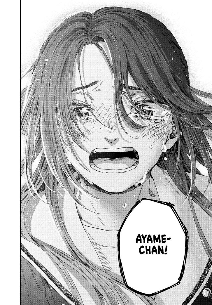 Read Kaoru Hana Wa Rin To Saku Manga Online