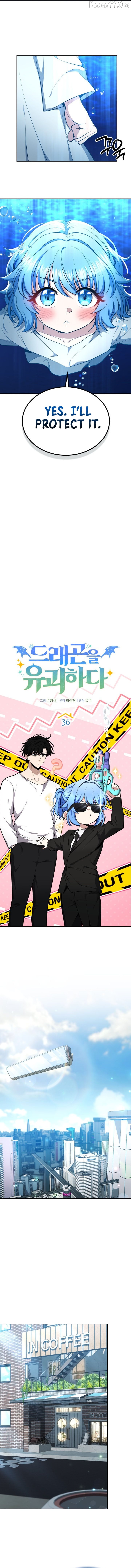 Read Kidnapped Dragons Manga Online