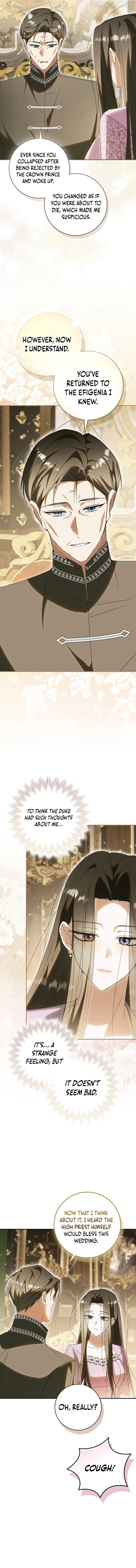 Read My Husband Is My Ultimate Bias, but I Think He Wants a Divorce EN Manga Online