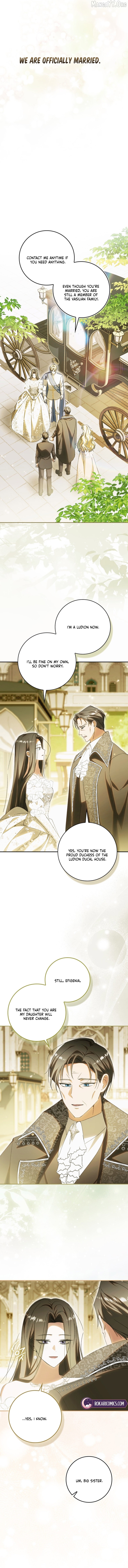 Read My Husband Is My Ultimate Bias, but I Think He Wants a Divorce EN Manga Online