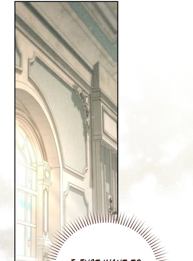 Read My Husband Is My Ultimate Bias, but I Think He Wants a Divorce EN Manga Online