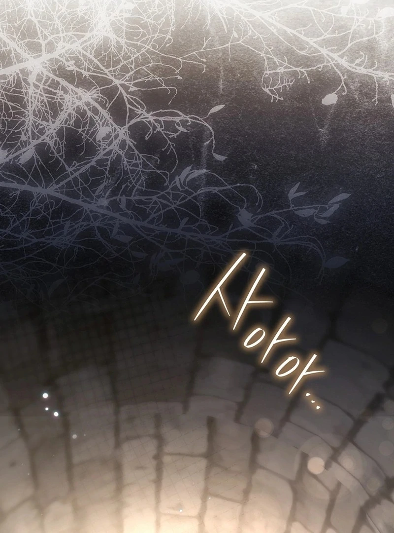 Read My Husband Is My Ultimate Bias, but I Think He Wants a Divorce EN Manga Online