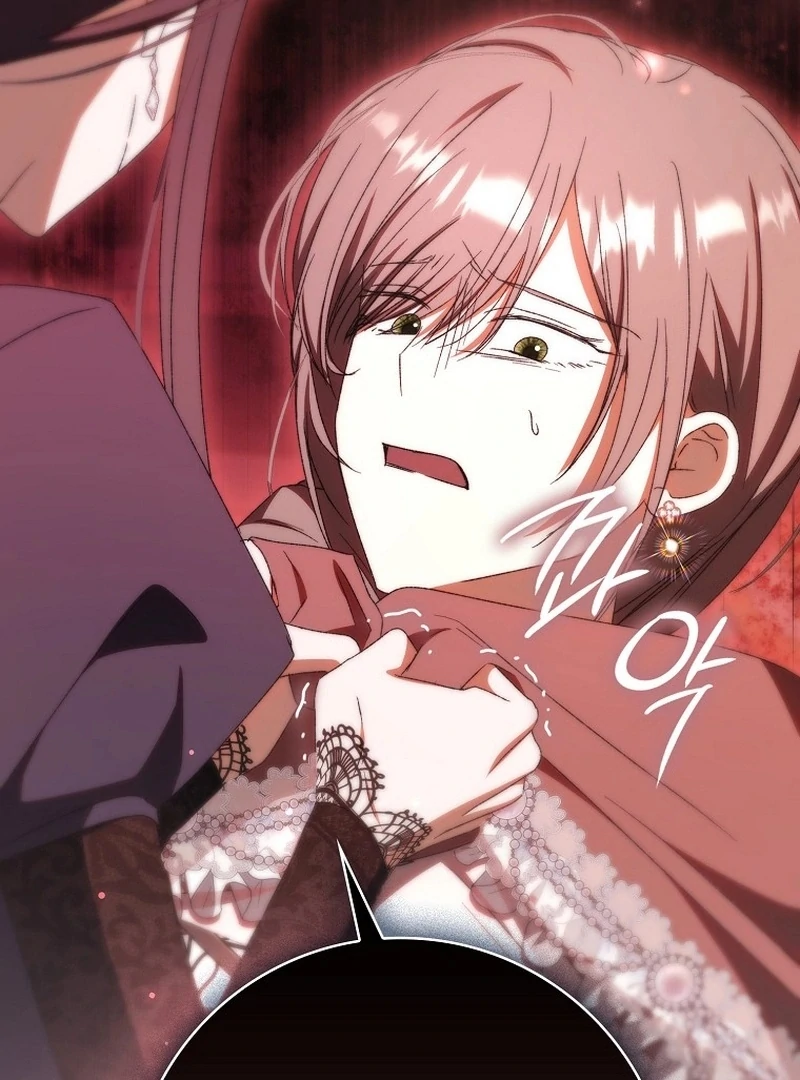Read My Husband Is My Ultimate Bias, but I Think He Wants a Divorce EN Manga Online