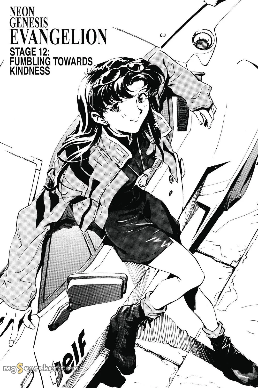 Read Neon Genesis Evangelion EN Manga Online