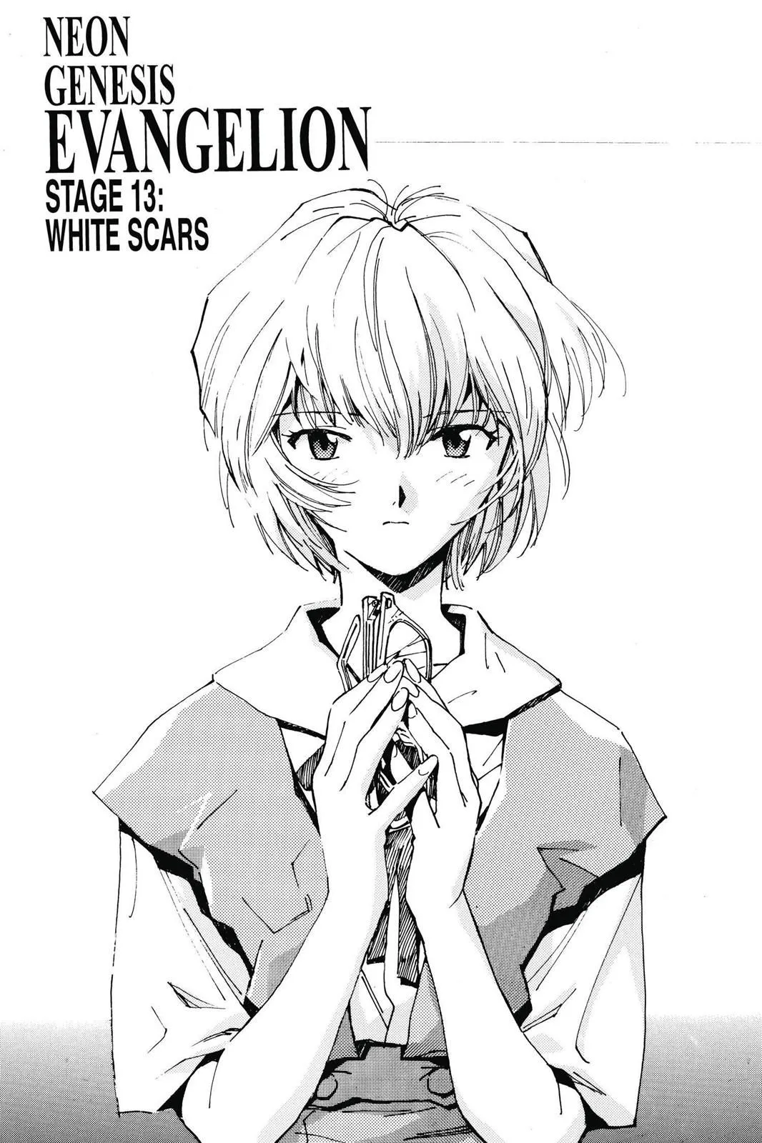 Read Neon Genesis Evangelion EN Manga Online