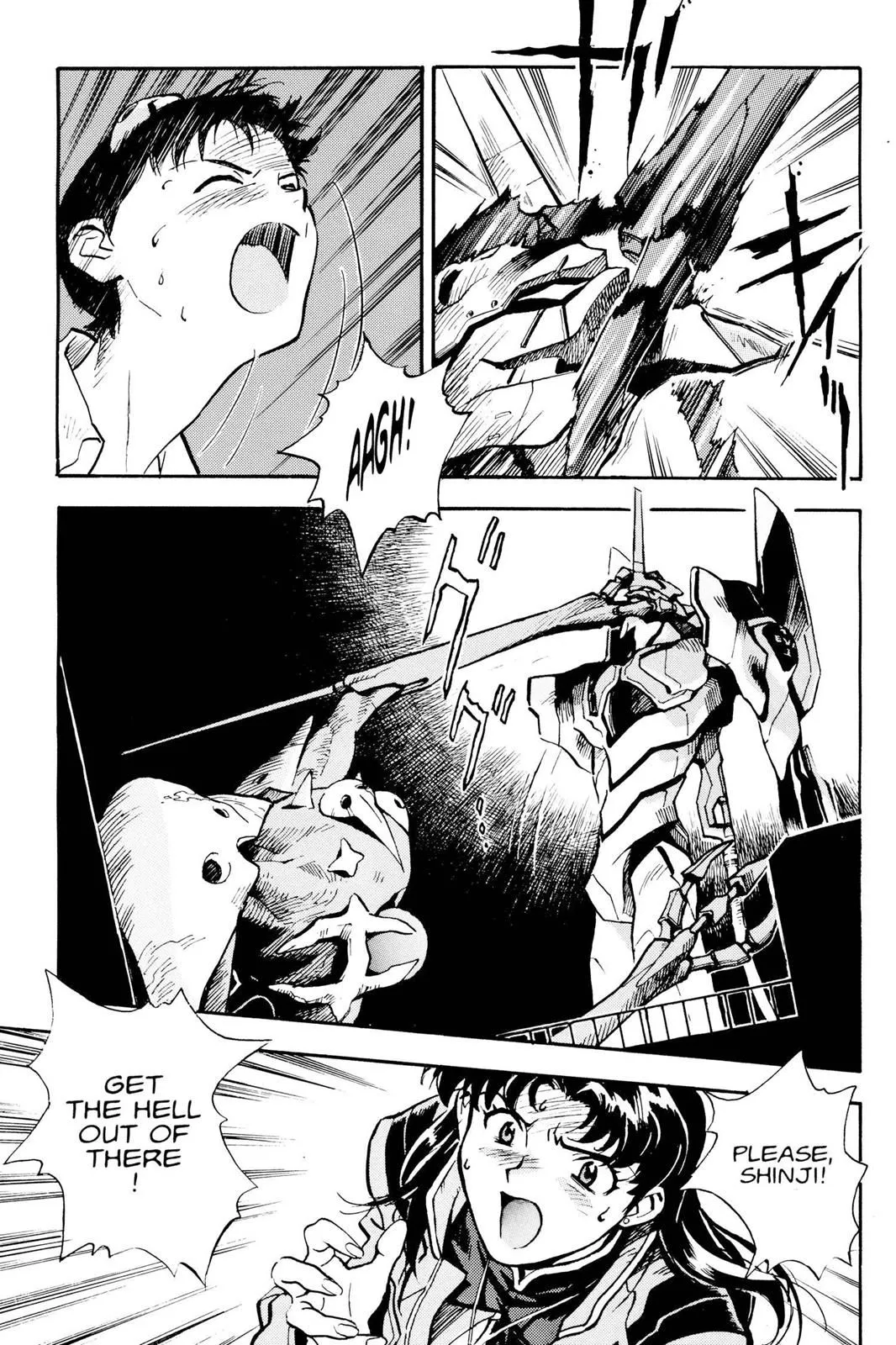 Read Neon Genesis Evangelion EN Manga Online
